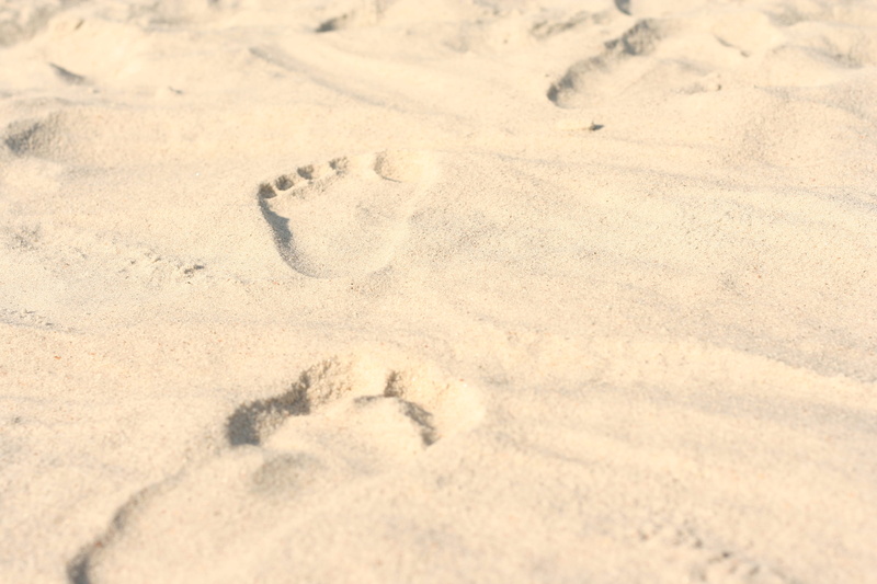 jacksonville, footprint, pattern, florida, creativity, land, art and craft, sunlight, backgrounds, nature, beach, 2K, high angle view, animal track, track - imprint