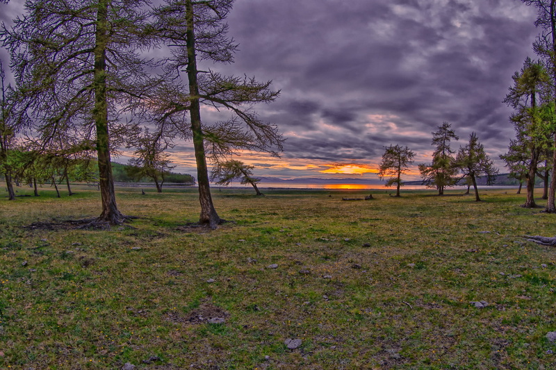 scenics, grass, fax the lake, non-urban scene, at dusk, landscape, tree, tree trunk, environment, no people, cloud - sky, sky, mongolia in the northwest portion