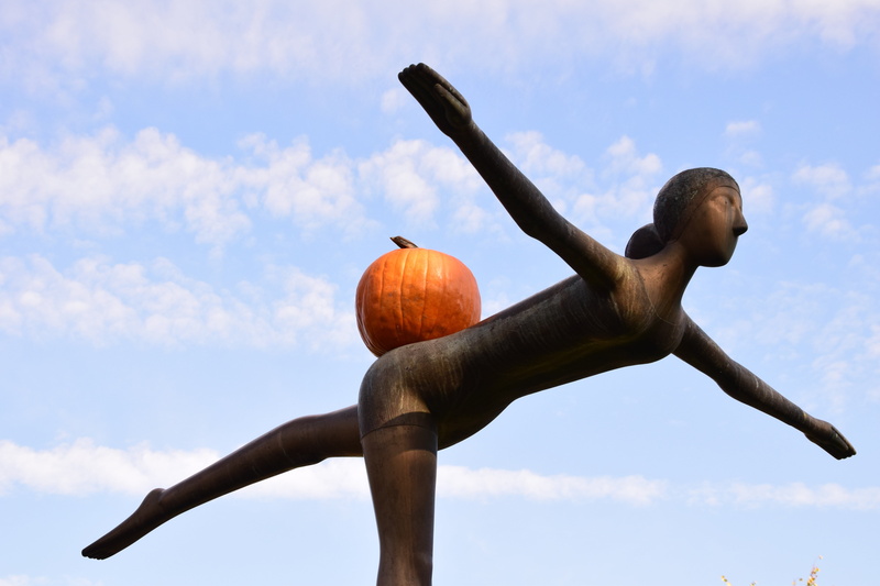 creativity, fly, figurine, nature, sport, 5K, representation, autumn, food and drink, no people, human representation, statue, forward, funny, pumpkin