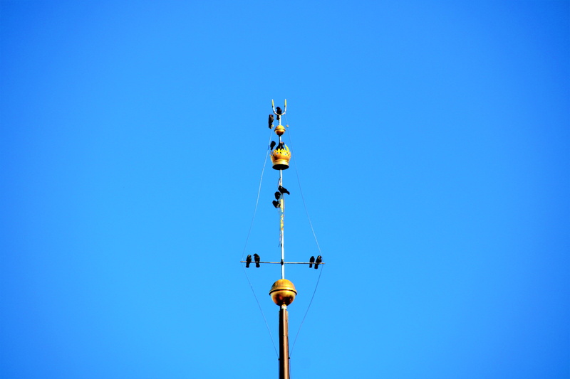 blue, clear sky, nature, bungee, bird, copy space, housing, leisure activities, condo, sky, tall - high, 5K, low angle view, lighting equipment, day, utility pole