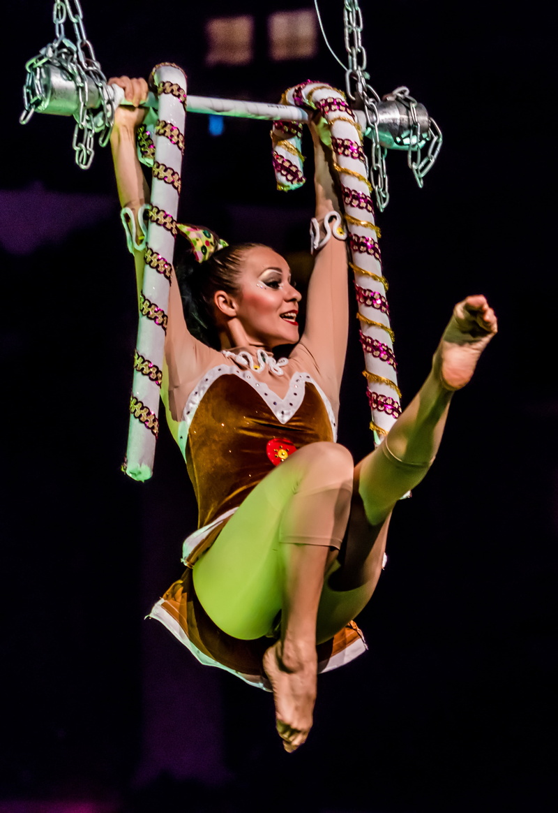 holding, one person, mid-air, human arm, people, real people, acrobat, trapeze, pole, adult, performer, female, women, skill, dancing, circus, leisure activity