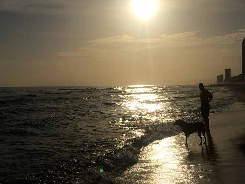 one person, lens flare, domestic, one animal, dog, water, sunlight, bright, animal, full length, 2K, pet owner, sky, lifestyles, beach, silhouette, domestic animals