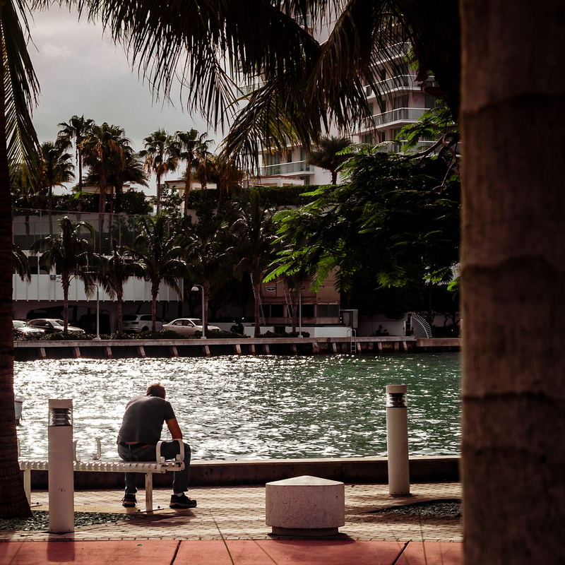 green, urban life, people, leisure activity, lifestyles, port, built structure, tree, sitting, marina, outdoors, south beach, reflection, united states