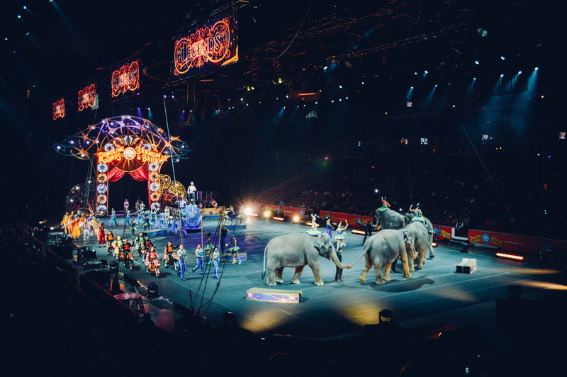 amusement, show, ring, fun, reindeer, manege, domestic animals, 5K, night, animal themes, funfair, mammal, joy, street, event, childhood, representation