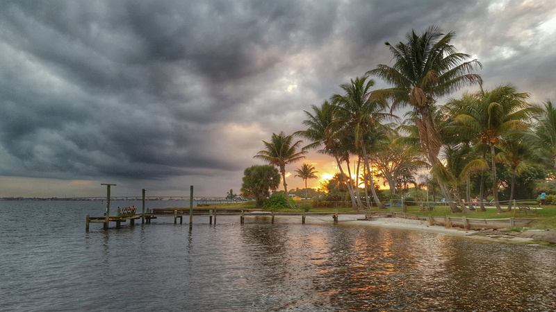 sea, tree, united states, travel destinations, scenics - nature, 5K, nature, coconut palm tree, no people, beauty in nature, plant, sunset, storm, beach