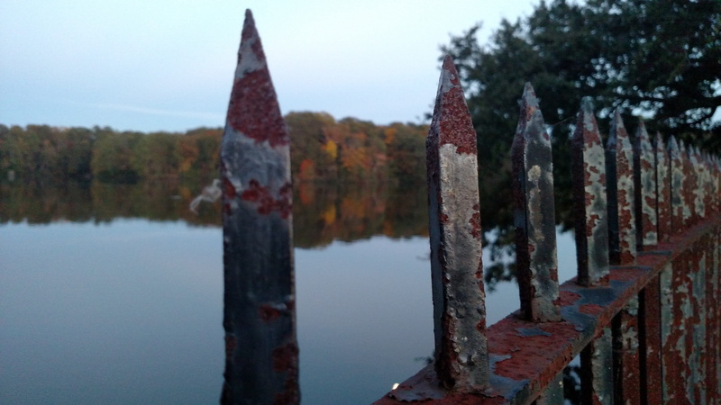 lake, outdoors, built structure, newport news, united states, autumn, architecture, focus on foreground, plant, nature, no people, water, 5K, tree, tranquil scene