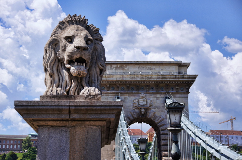 places of interest, bridge, feline, architectural, hungary, budapest, near, animal representation, photography, sky, the past, architecture, statue, arc