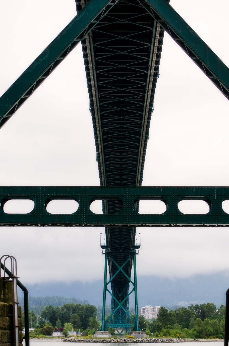 bridge - man made structure, metal, outdoors, transportation, canada, nature, bridge, clear sky, alloy, sky, steel, sea, 4K, day, plant, lions gate bridge road