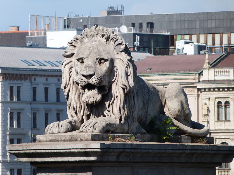 built structure, 4K, art and craft, budapest, human representation, creativity, building, statue, chain bridge, places of interest, lion, sculpture, lion - feline