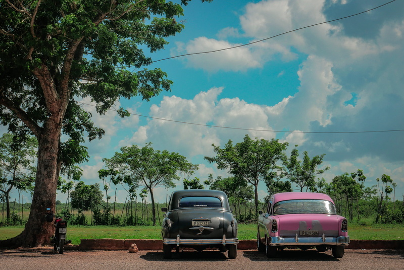 plant, sky, nature, motor vehicle, day, sunlight, outdoors, transportation, mode of transportation, travel, oldtimer, road, car, cloud - sky, land, field