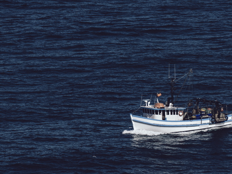 no people, rock, sailboat, beauty in nature, motion, waterfront, sailing, swell, wandering, transportation, nature, mode of transportation, lost, shark