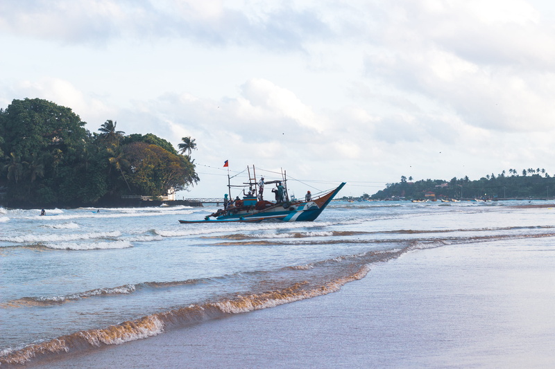 tree, shoreline, wave, surf sri lanka, barge, fishing boat, outdoors, scenics - nature, coast, vehicle, 5K, incidental people, beauty in nature, person