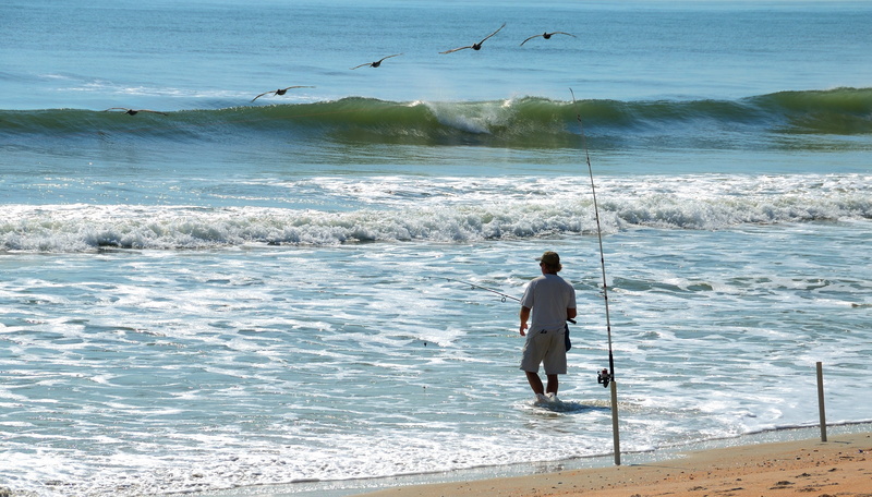 nature, fisherman, coast, men, real people, bird, animal wildlife, man, sport, tropical, land, outdoor, hobby, sea, coastline, aquatic sport, ocean, water