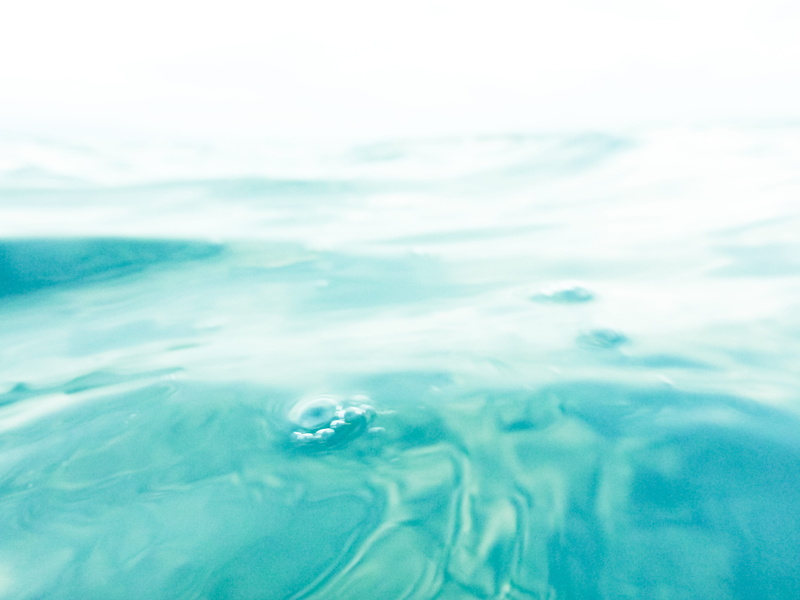 day, jellyfish, waves, saltwater, freshness, fish, purity, full frame, wave, outdoors, surfboard, surface level, mexico, close-up, motion, waterscape, beauty in nature
