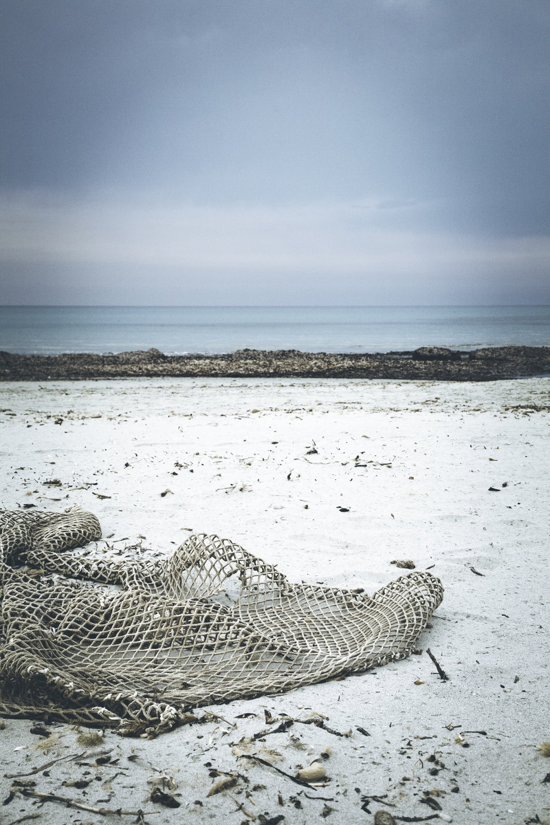 4K, holiday, daytime, beach, horizon over water, drift wood, net, coast, beauty in nature, non-urban scene, gray, washed up on, flotsam, tranquility, driftwood