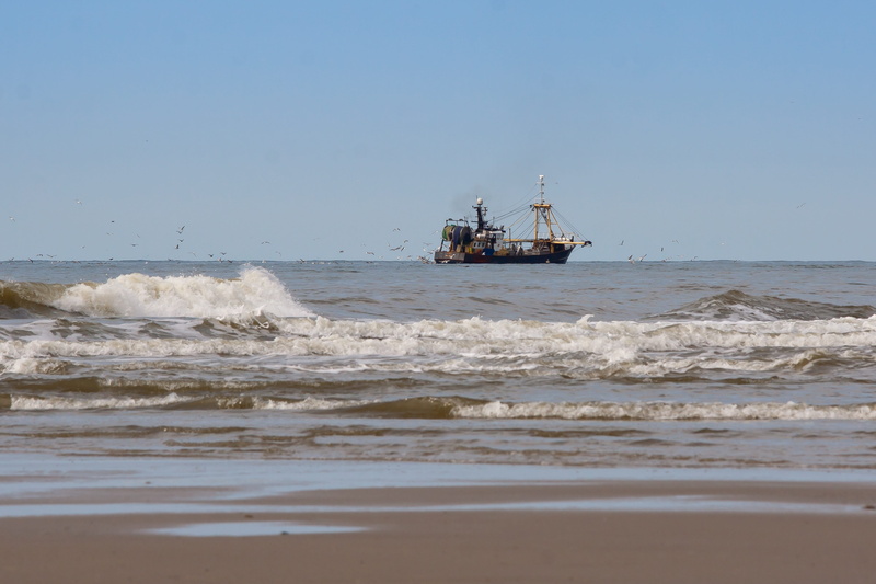 outdoors, beach, 4K, sea, horizon, fishing, transportation, fishing vessel, north sea, coast, sand, sun, callantsog, no people, water, nature, motion