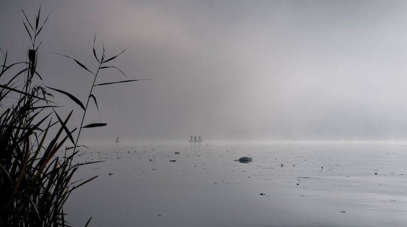 plant, nature, sea, angler, fog, scenics - nature, sky, non-urban scene, lake, day, peaceful, no people, beauty in nature, idyllic, 4K, boat, tranquil scene