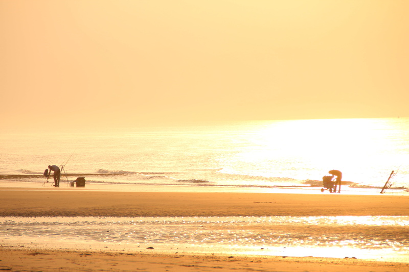 scenics - nature, sunset, fischer, angler, land, full length, mood, sky, two people, lake, fish, water, mammal, beauty in nature, people, sand, beach, catch fish