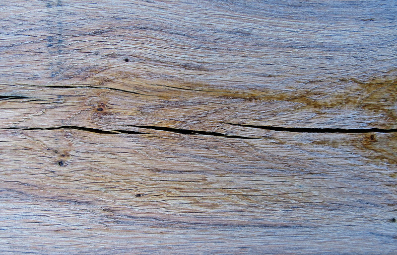 beauty in nature, backgrounds, port, dock, angler, brown, waterfront, coast, waterfowl, natural pattern, animal, leisure activities, textured, wood, bird