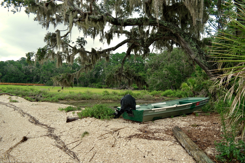 boat, park, tranquility, nature, day, green color, united states, land, tranquil scene, growth, 5K, plant, south carolina, seat, one person, tree, one animal