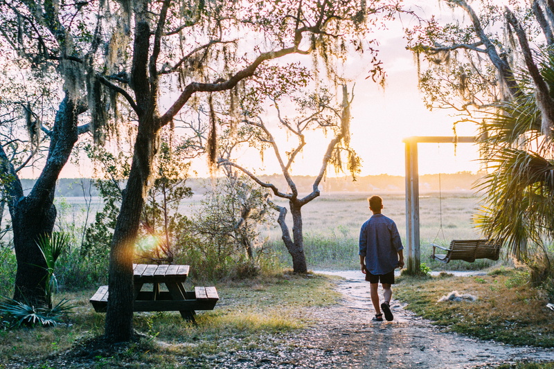 one person, contemplation, evening, 5K, united states, park bench, day, men, tree, charlston, sunset, walk, beauty in nature, tree trunk, lifestyles, nature