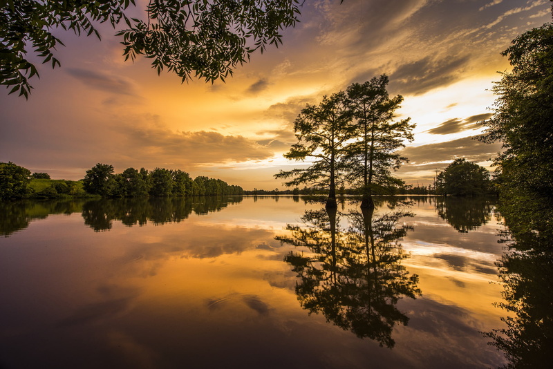 trees, Arkansas, 1080P, sunset, Arkansas Delta, Mississippi River, reflection, the Mississippi river, river, Delta Arkansas
