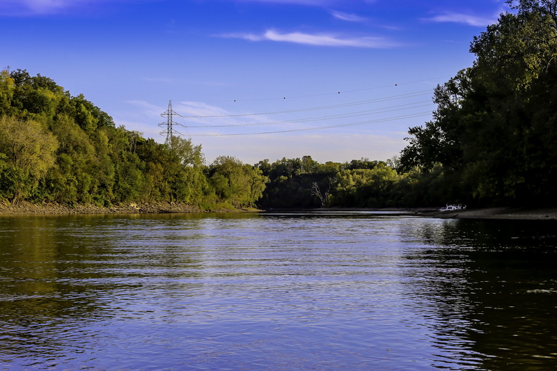non-urban scene, tranquility, plant, Mississippi, scenics - nature, water, waterfront, no people, nature, mississippi, Forest, growth, cloud - sky, blue