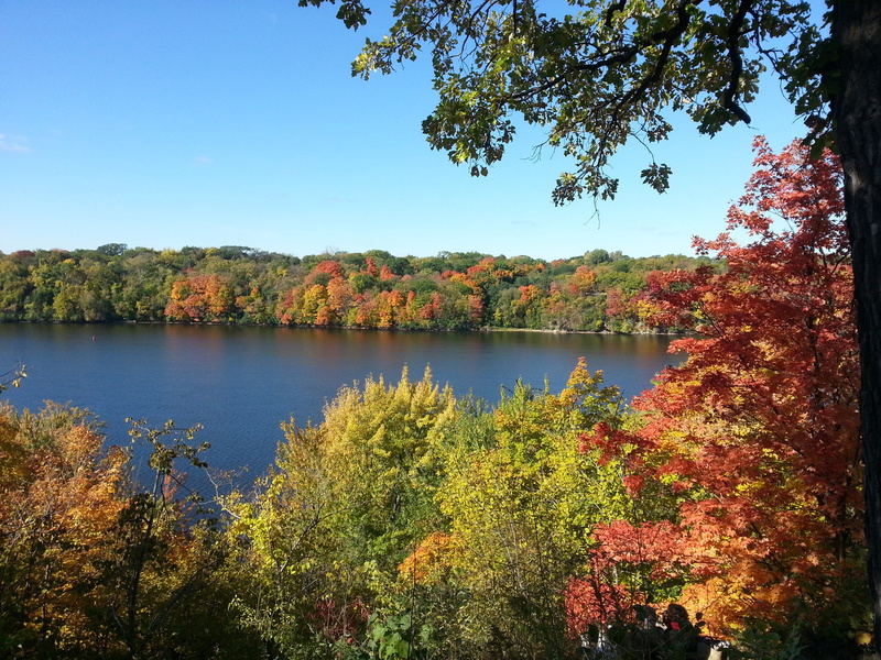 colorful, no people, outdoors, fall foliage, tree, sky, tranquil scene, clear sky, mississippi river, plant, lake, nature, tranquility, day, beauty in nature
