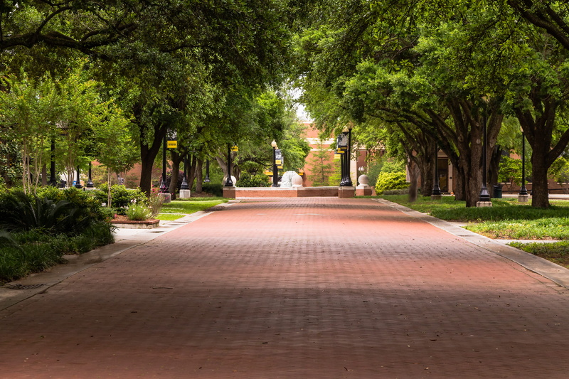 nature, outdoors, park - man made space, beauty in nature, united states, city, diminishing perspective, shady, the way forward, trees, hattiesburg, tranquility