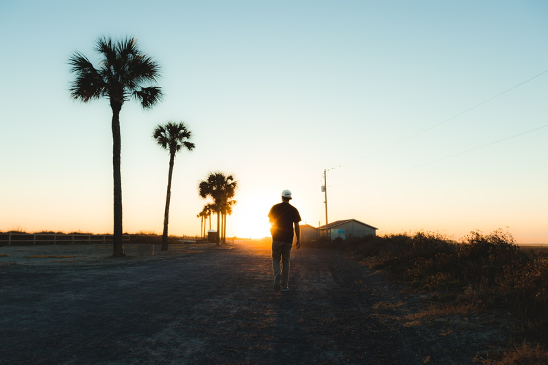 beach, palm tree, men, sky, full length, tree, silhouette, 5K, plant, southern, charleston, sunset, scenics - nature, field, beauty in nature, outdoors