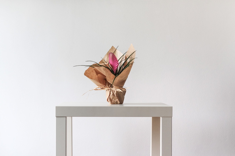 table, square, quill, paper, food, bouquet, no people, white, string, still life, 4K, centerpiece, decoration, ribbon, container, copy space, arrangement