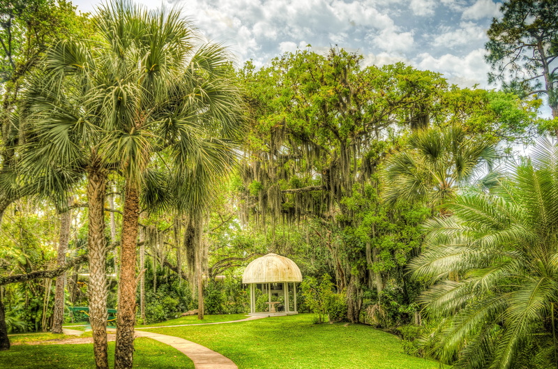 nature, landscape, leaves, growth, woodland, grass, field, south florida, sky, shangri-la, beauty in nature, park, day, forest, tree, gazebo, agriculture
