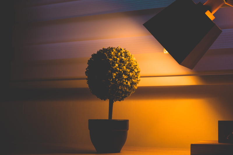 flower arrangement, beauty in nature, vase, plant, flowering plant, houseplant, low light, flower pot, 5K, close-up, chile, table, orange, lighting equipment
