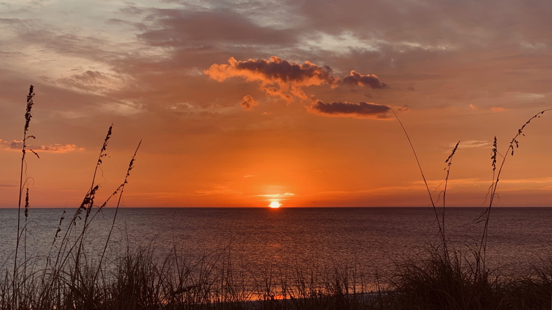4K, captiva island, cloud - sky, idyllic, sunlight, marram grass, non-urban scene, florida, dusk, no people, orange color, water, flare, red sun, tranquil scene