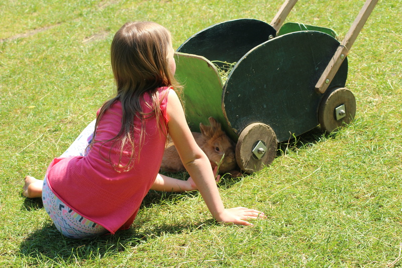 farm animals, hairstyle, childhood, grass, outdoors, lifestyles, sitting, 5K, real people, symbiosis, girls, child, rabbit, one person, females, nature