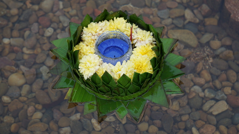 petal, Festival, banana leaf, plant, floral pattern, loy kratong festival, nature, vulnerability, high angle view, yellow, fragility, worship, tradition