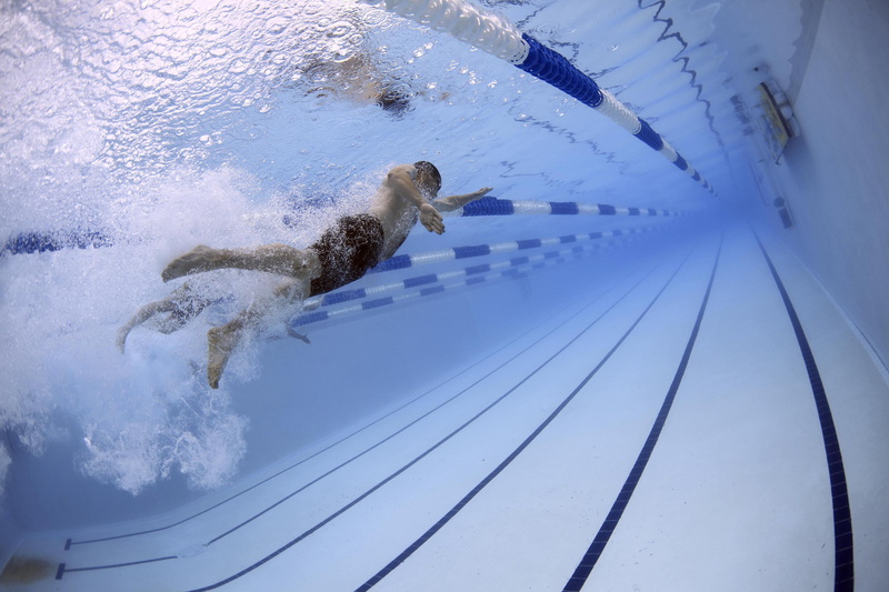 nature, man, winter, no people, pets, snow, speed, animal, 2K, athletic, people, one animal, vertebrate, lanes, swimmers, sport, mammal, animal themes