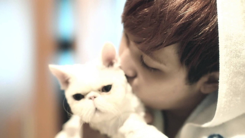 1080P, five, island, k-pop, ftisland, kpop, treasure, pop, rock