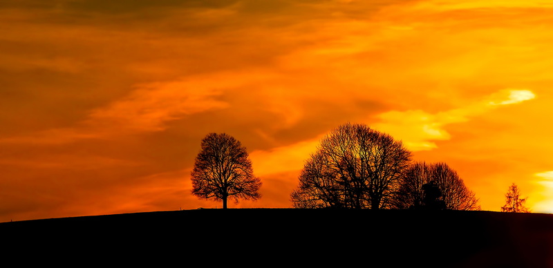 beauty in nature, cloud - sky, field, environment, dramatic sky, trees, tranquility, peak, scenics - nature, no people, plants, nature, sunset, plant, hill