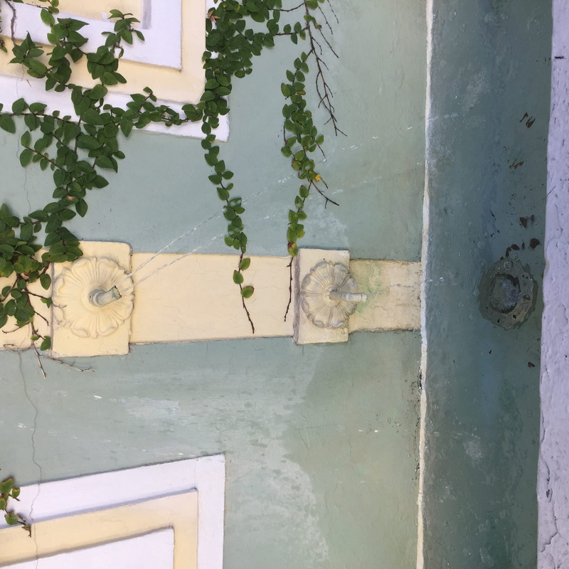 building, water, nature, plant part, day, no people, wall, south beach, built structure, tree, reflection, wall - building feature, 1080P, building exterior