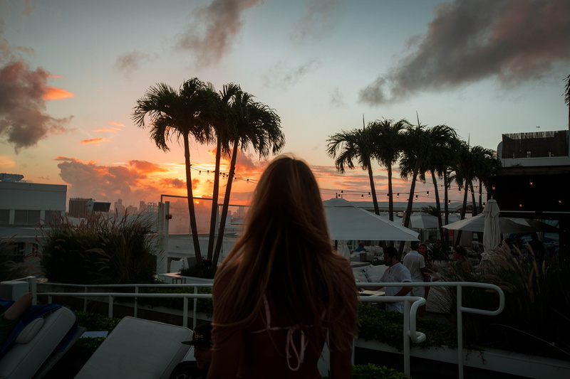 one hotels, palm tree, built structure, real people, plant, 1hotels, sunset, miami beach, leisure activity, women, nature, rear view, building exterior