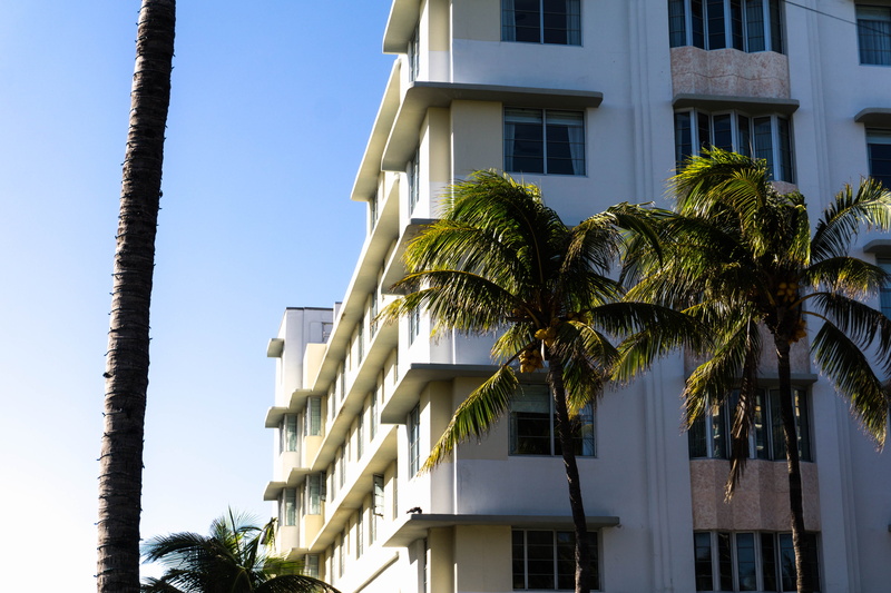 built structure, plant, tropical climate, day, miami, building exterior, southbeach, outdoors, architecture, growth, clear sky, palm tree, tree, palmstrees