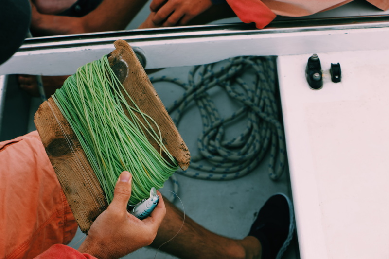 human body part, men, boat, finger, fish market, clothing, small business, business, fishing pole, green, 5K, green color, person, leisure activity, food