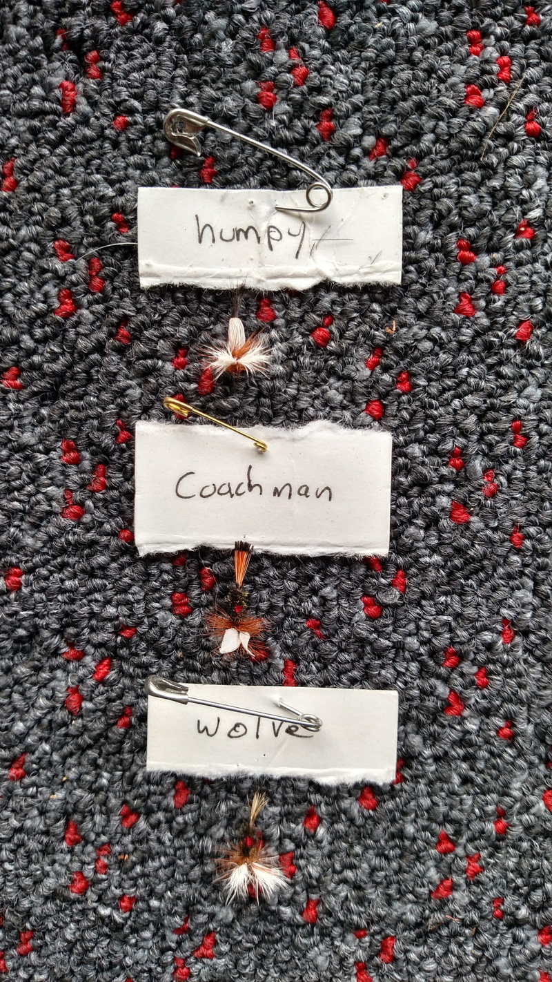 bait, advice, text, choice, emotion, directly above, communication, paper, catch, close-up, gray, studio shot, sign, indoors, lure, western script, pattern
