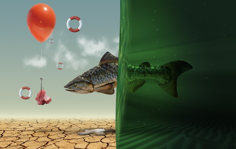 HOOK, AIR, WATER, FISH, RESCUE, 1080P, BAIT, BALL, DROUGHT, ROUND