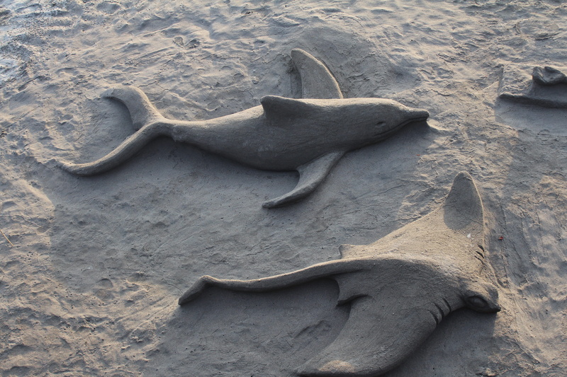 close-up, high angle view, shore, sandcastle, sea, animals in the wild, beach, animal themes, group of animals, nature, sand, water, fish, no people, animal