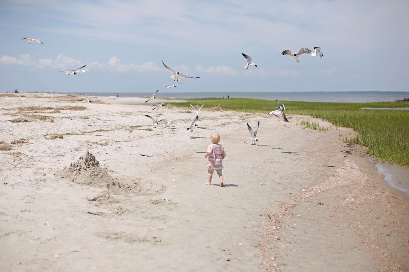 child, blue sky, animal, 4K, lifestyles, nature, flying, seagulls, childhood, bird, water, leisure activity, vertebrate, seagull, group of animals, real people