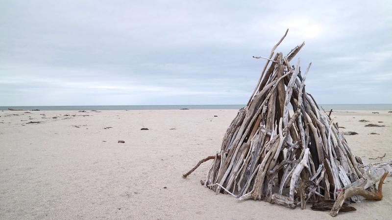 catlins, nature, cloud - sky, sand, water, tranquility, sky, driftwood, wood - material, wood, horizon over water, day, scenics - nature, tranquil scene