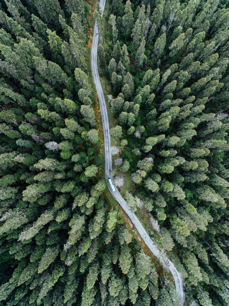 from above, curve, growth, rural Scene, travel, wood, nature, green Color, street, remote, no People, treetop, woodland, tree, mountain, rural, vehicle