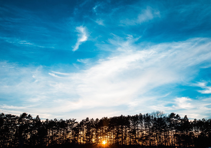 summer, tranquility, no people, trees, plant, environment, sun, treetop, sunlight, scenics - nature, 5K, forest, tranquil scene, sunset, blue, landscape